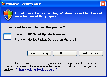 Windows Security Alert screen